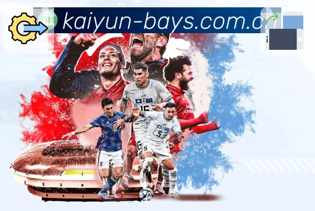 开云平台展示图